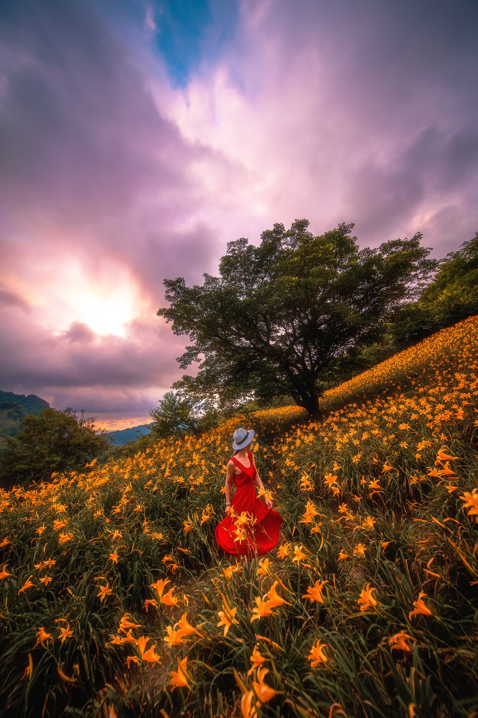 There is a woman in a red dress sitting in a field of flowers (nature, cloud, sunlight, spring, morning)