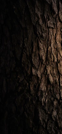 formation, tree, wood, trunk, bark