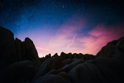 Nuit étoilée sur des formations rocheuses dans le parc national de Joshua Tree, Californie