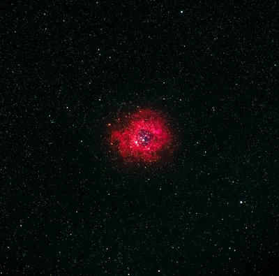 Lebendige Nebel, die die kosmische Dunkelheit erleuchtet