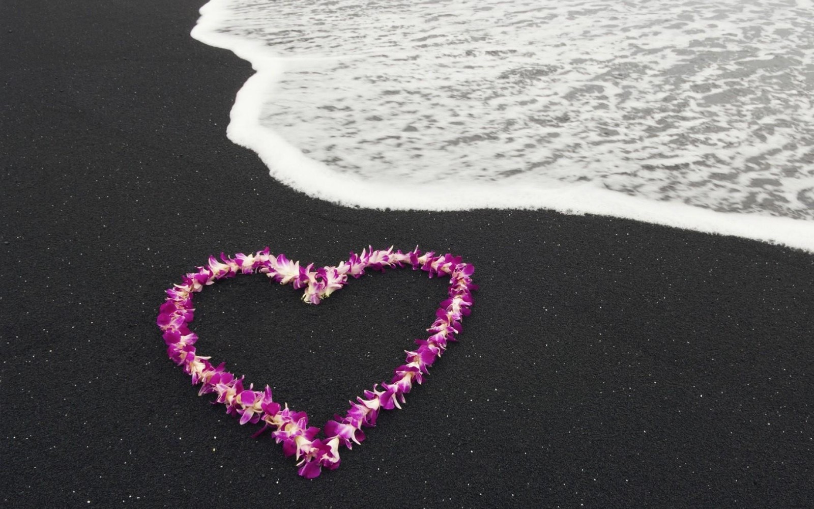 Il y a une guirlande de fleurs en forme de cœur sur la plage près de l'océan (cœur, romance, rose, amour, auriculaire)