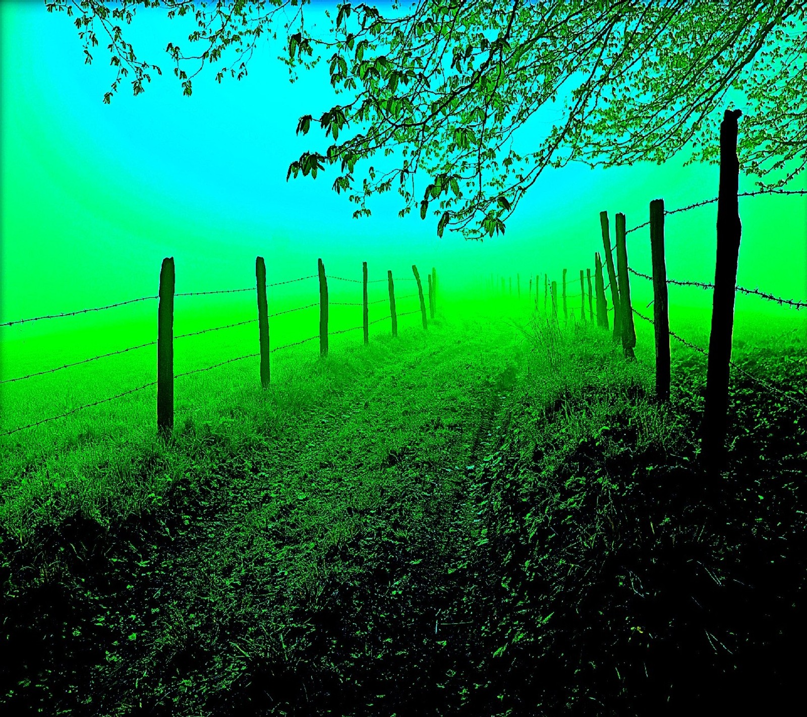 Descargar fondo de pantalla naturaleza