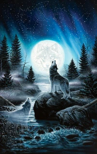 fantasy, stars, wolf