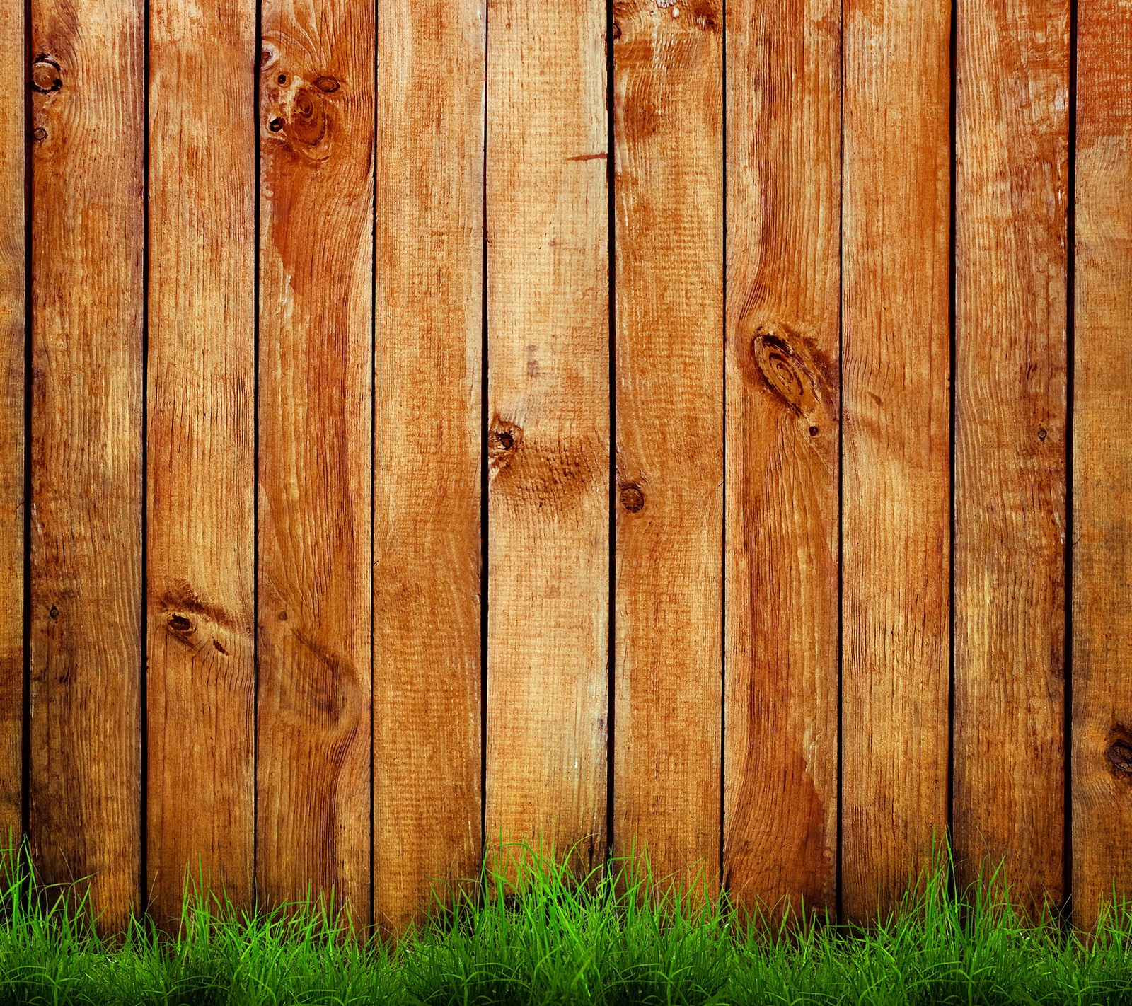 Un gros plan d'une clôture en bois avec de l'herbe devant (herbe, texture, bois, en bois)