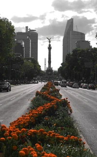 Ángel de la Independencia rodeado de cempasúchil en Reforma, CDMX