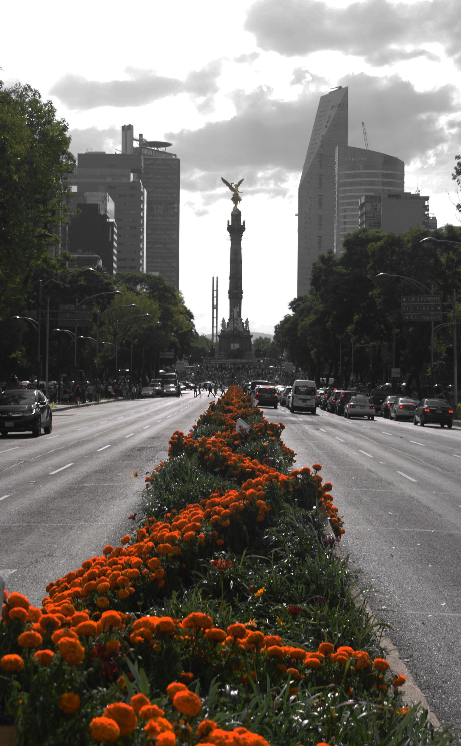 Lade angel de la independencia, bn, cdmx, coco, diademuertos Hintergrund herunter