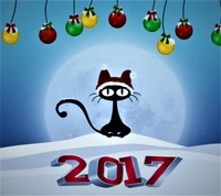 2017, abej, beograd, cat, happy new year wallpaper