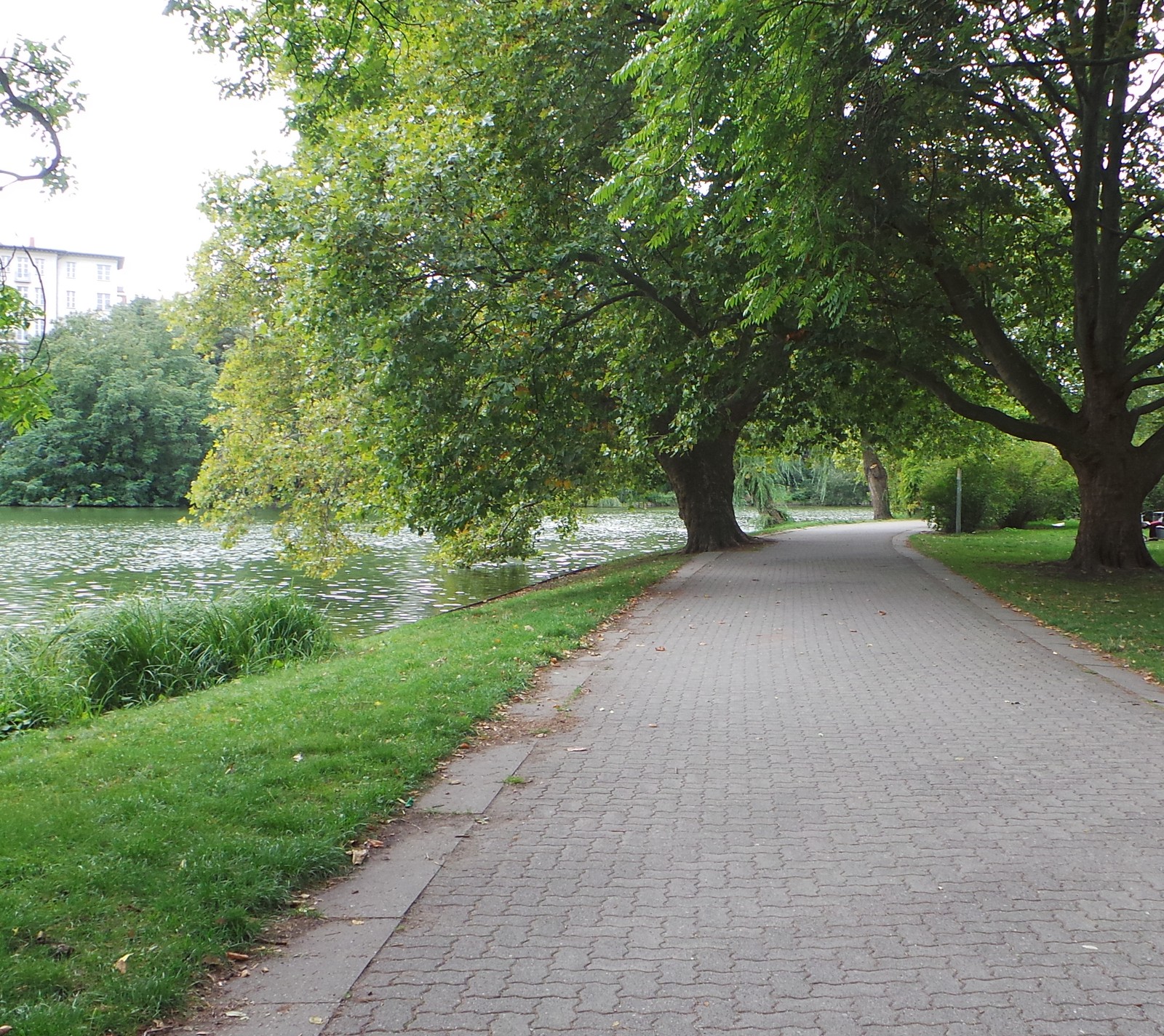 Lade berlin, jezero, lizensee Hintergrund herunter