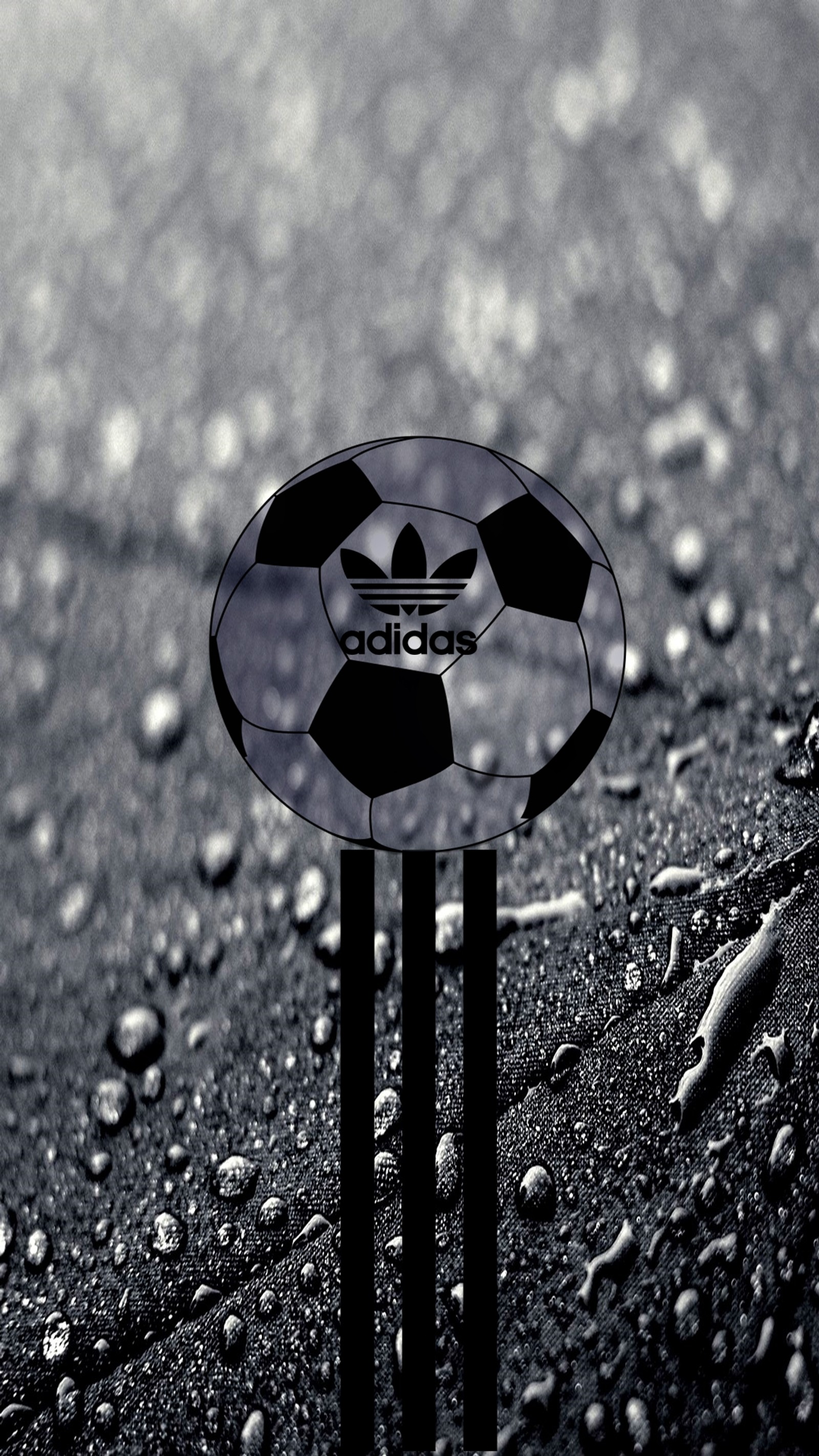 A close up of a soccer ball on a sticker on a wet surface (adidas, logo)