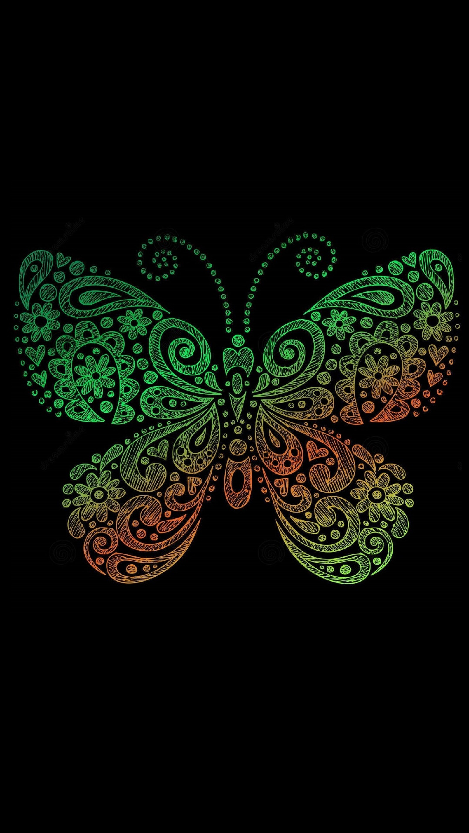 A close up of a butterfly with a black background (butterfly, green, orange)