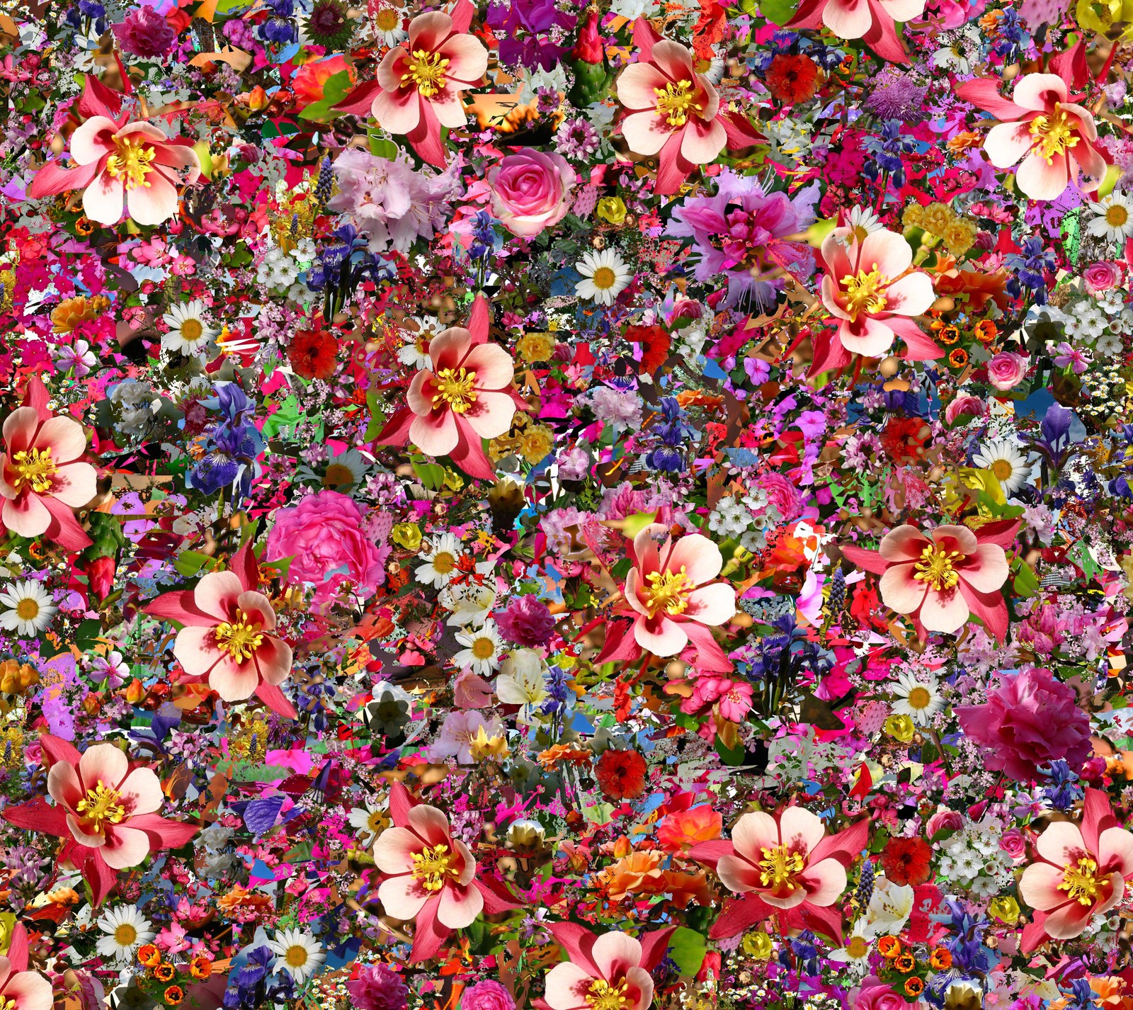 Primer plano de un ramo de flores en un campo (colores, flores, naturaleza, pétalos)