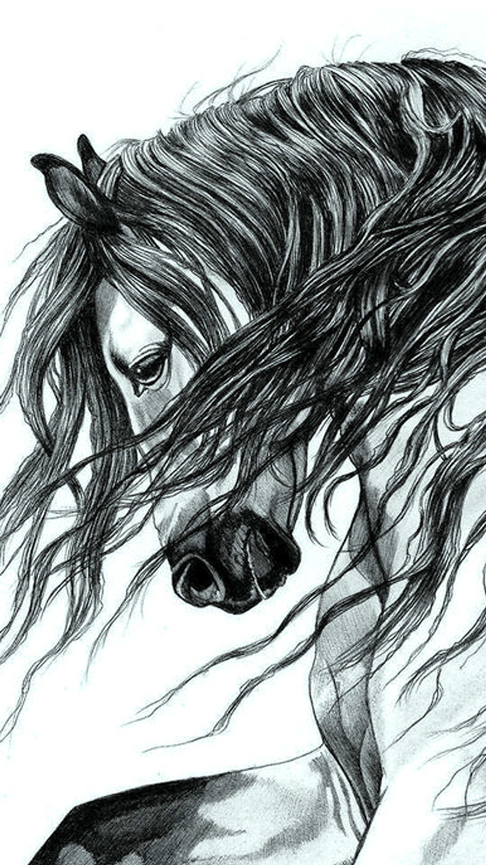 Desenho de um cavalo com cabelo longo soprando ao vento (preto, cavalo, branco)