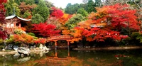 Autumn Reflections at a Buddhist Temple Surrounded by Vibrant Maple Trees