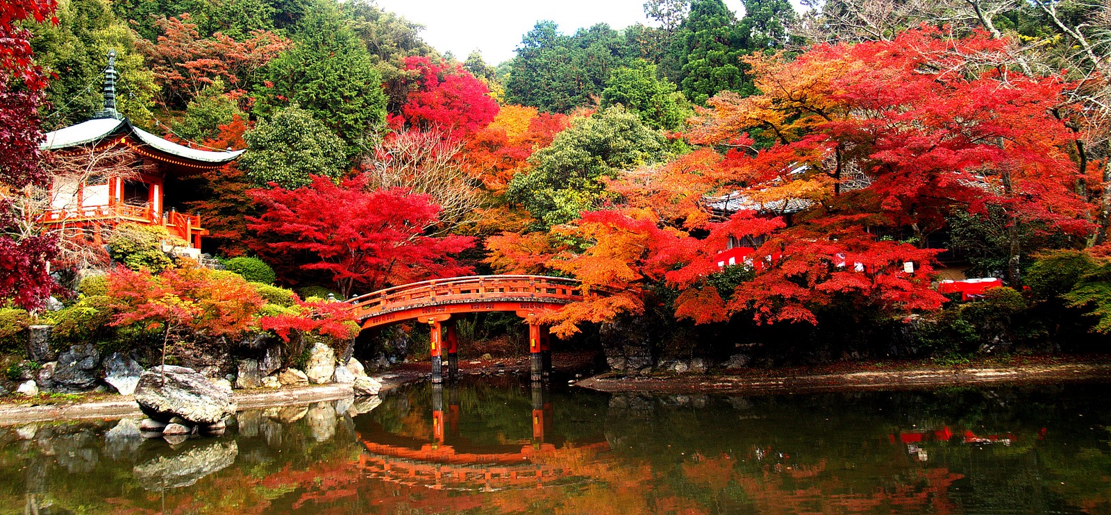 Eine sicht auf eine brücke über einen teich mit roten blättern (tempel, buddhistischer tempel, natur, baum, reflexion)