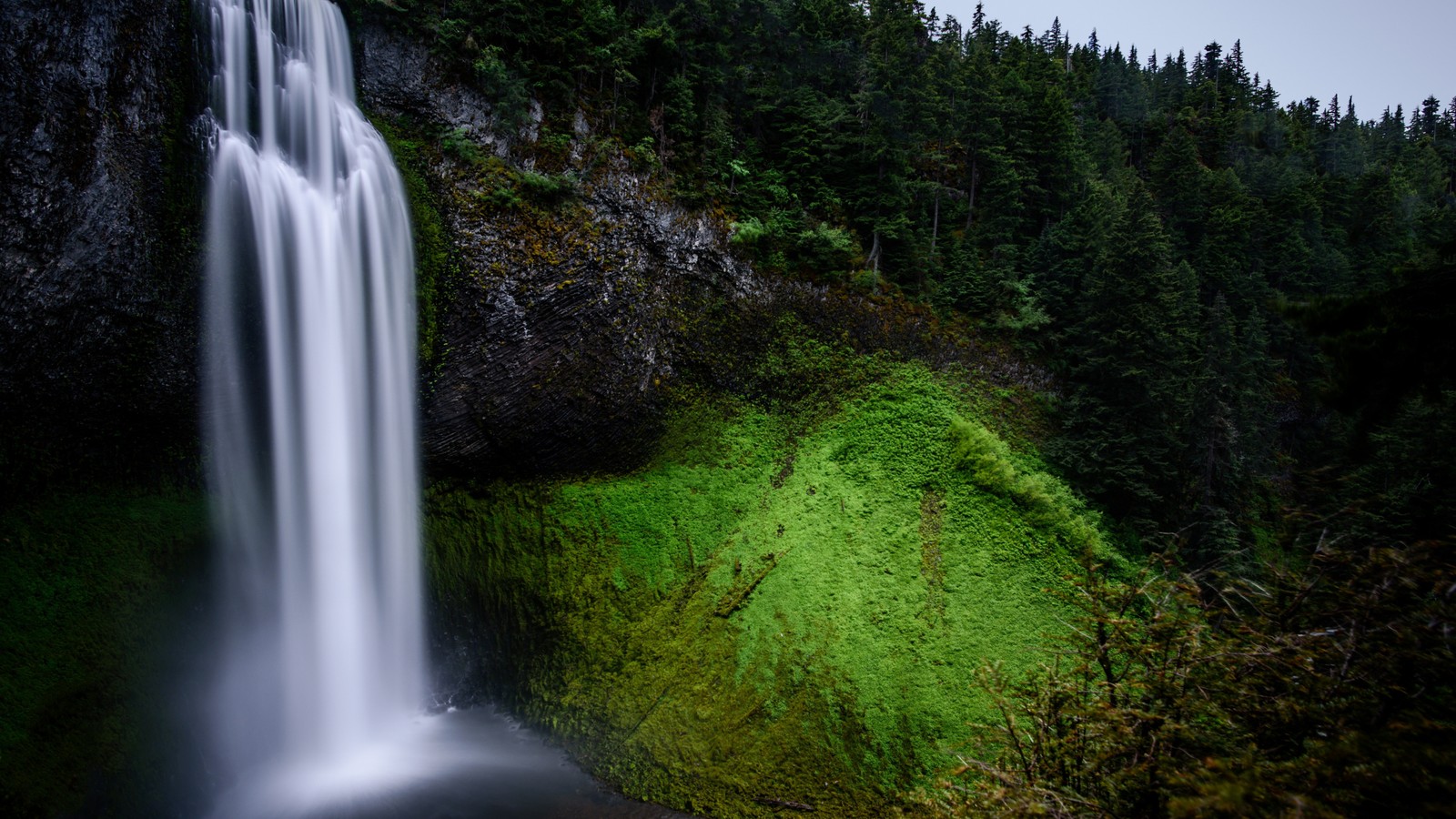 Una cascada en medio de un bosque con una zona de musgo verde (cascada, naturaleza, cuerpo de agua, recursos hídricos, agua)