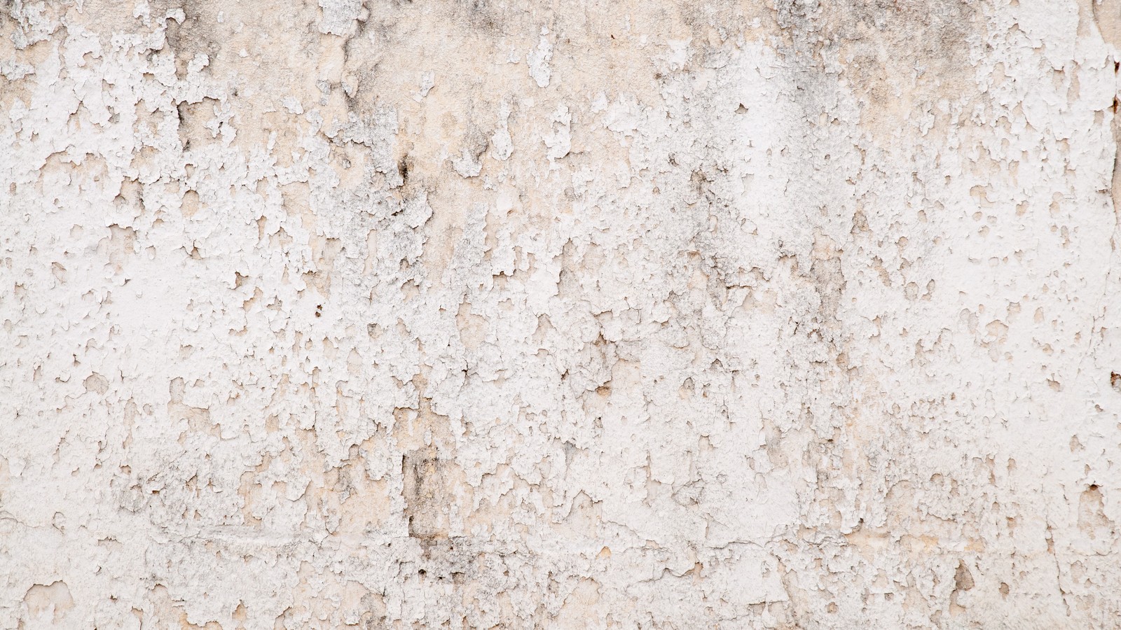 A close up of a white wall with peeling paint on it (wall, painting, paint, concrete, mural)