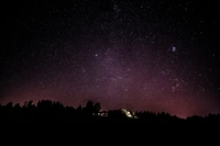 Cielo nocturno púrpura lleno de estrellas y árboles en silueta