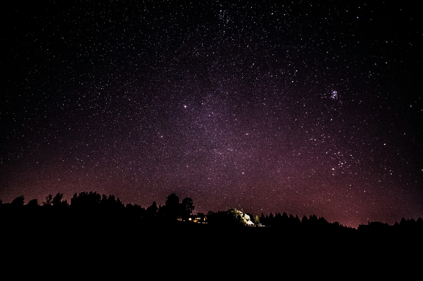 Une vue d'un ciel nocturne avec beaucoup d'étoiles. (nuit, obscurité, arbre, atmosphère, étoile)