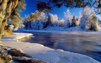 Nature sauvage d'hiver : Un paysage de rivière gelée avec des reflets glacés et des arbres couverts de neige