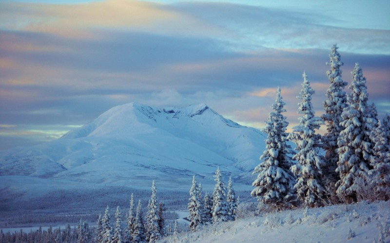 Снежные горы с деревьями и небом с облаками (аляска, alaska, снег, гора, зима)