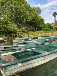 Serene Watercraft Reflections Amidst Lush Greenery