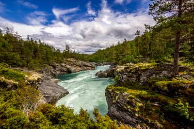 reserva natural, parque nacional, natureza, recursos hídricos, água