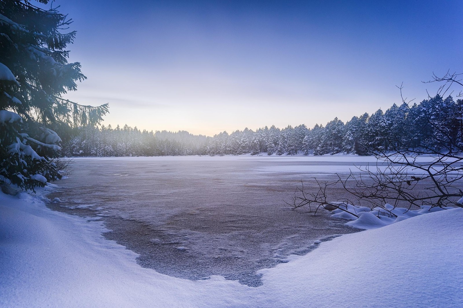 Uma vista de um lago congelado com árvores ao fundo (neve, inverno, natureza, congelamento, água)