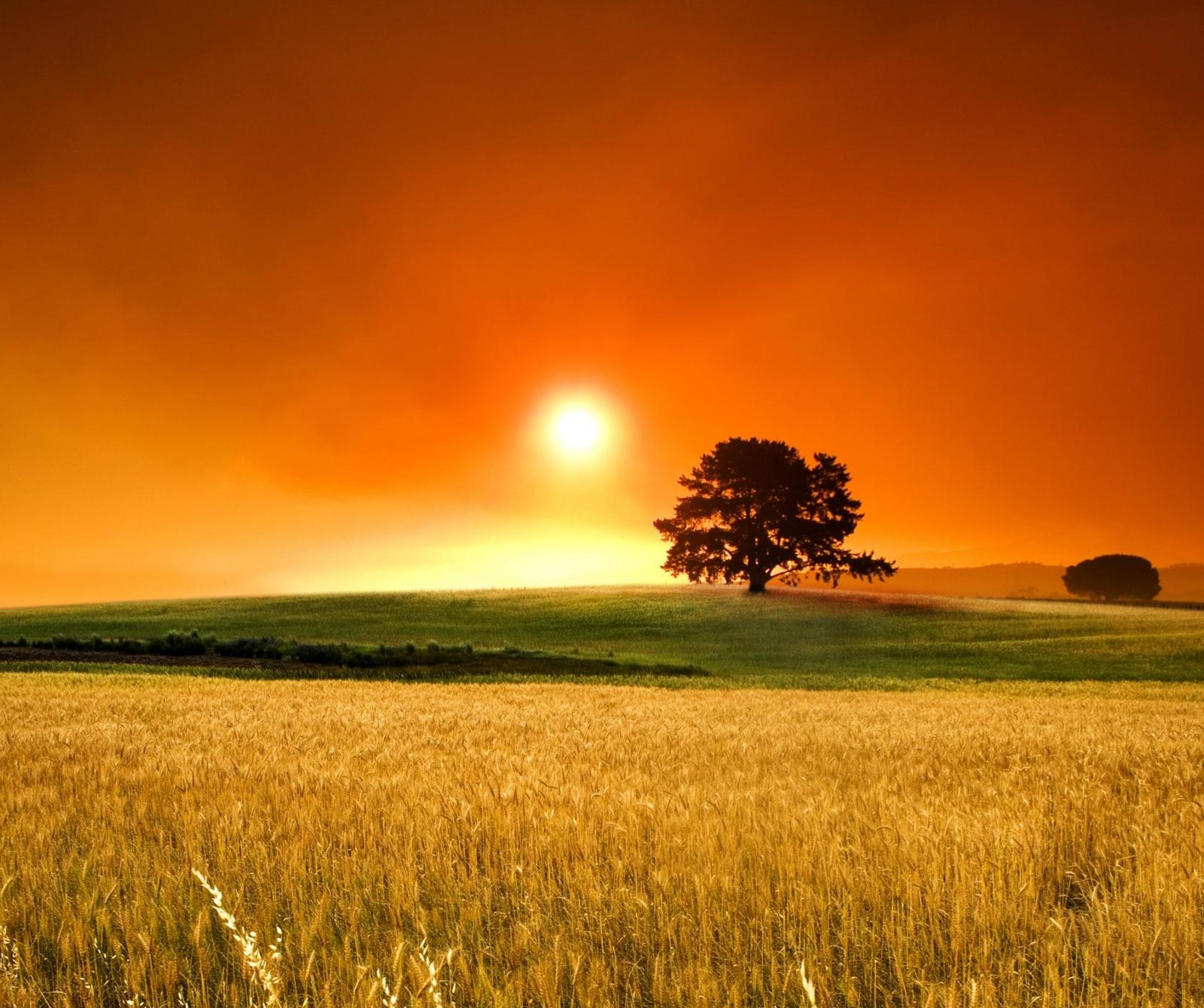 Lade schönheit, sonnenuntergang Hintergrund herunter