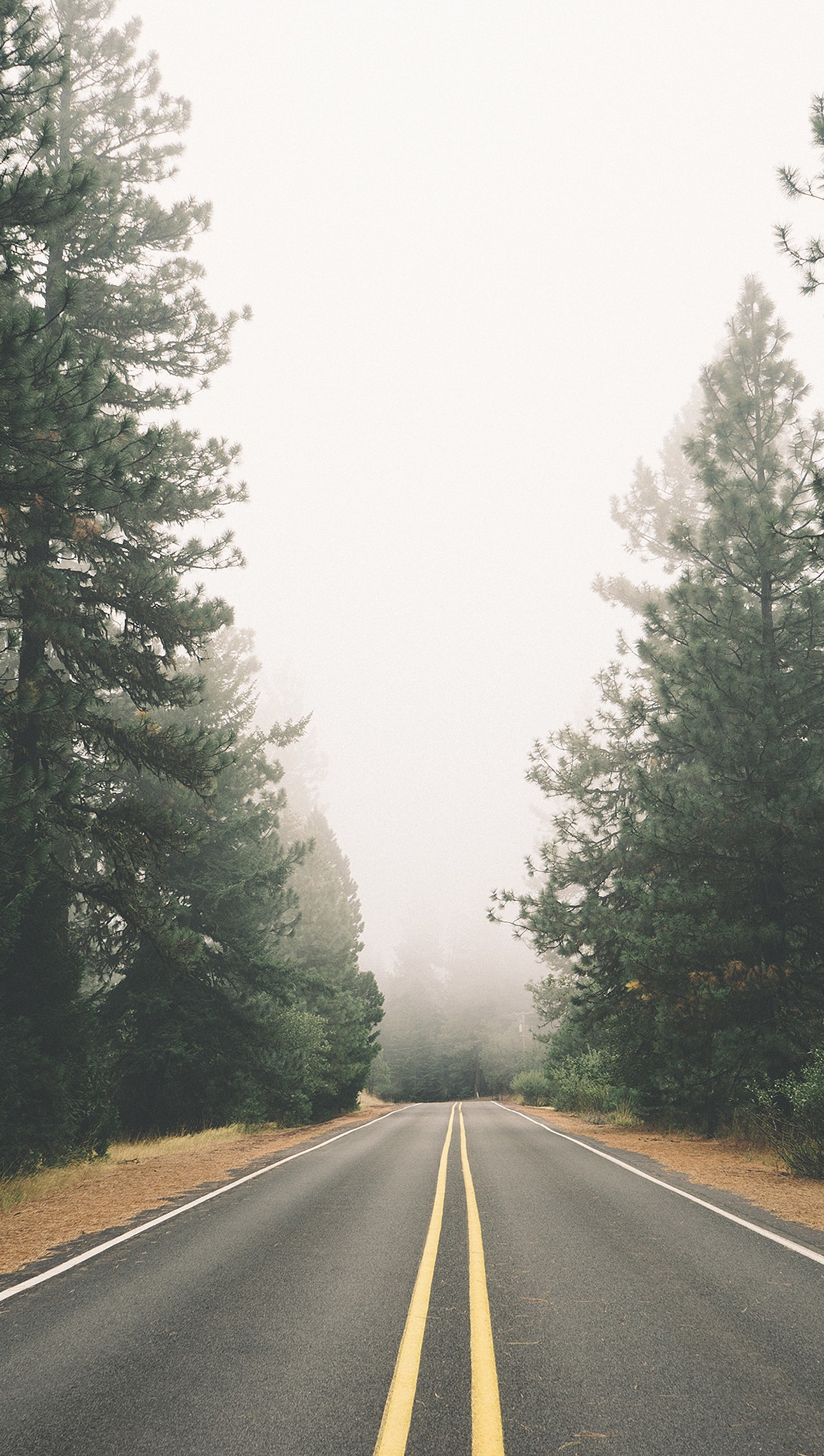 Há uma estrada com uma linha amarela ao lado (aberto, estrada)