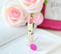 Lápiz labial rosa con rosas en un libro