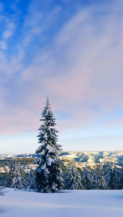 escenario, nieve, árbol, invierno