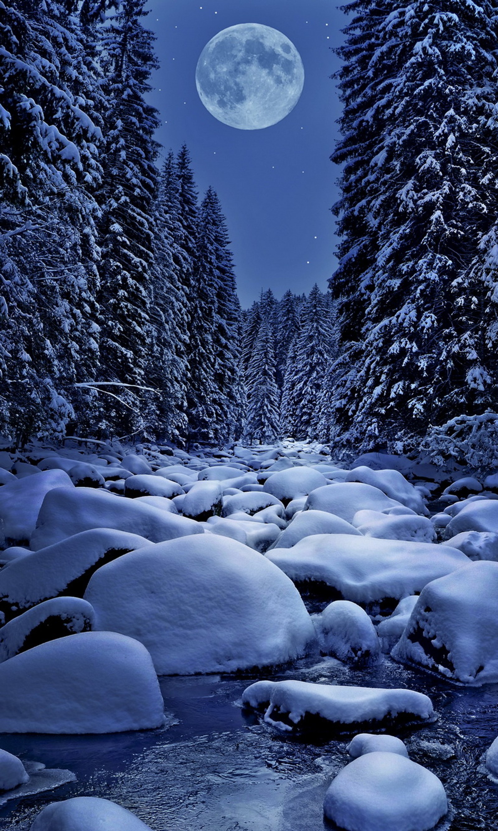 Rivière enneigée avec des rochers couverts de neige et des arbres en arrière-plan (arrière plan, nuit dhiver)