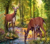 Serene Forest Scene with Deer and Fawn by a Stream