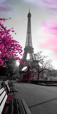 Fleurs roses entourant la Tour Eiffel dans un paysage monochrome