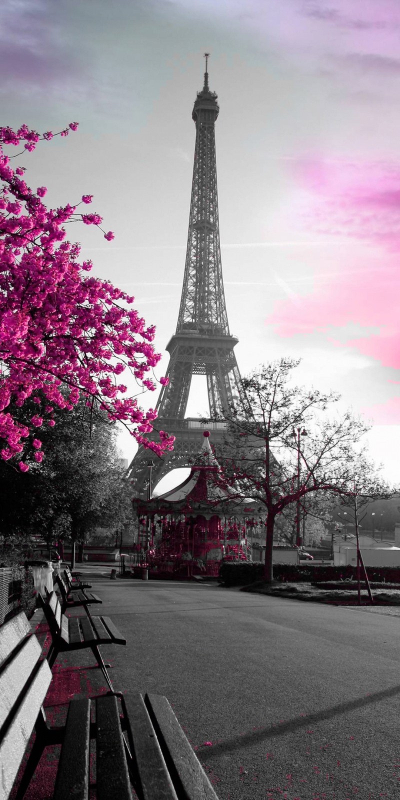 Purple and black photograph of a bench and a tower in the background (tower, pink, nature)