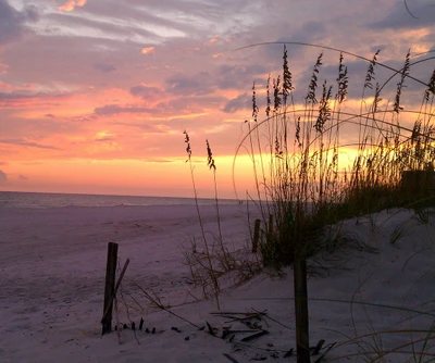 beach, sunset