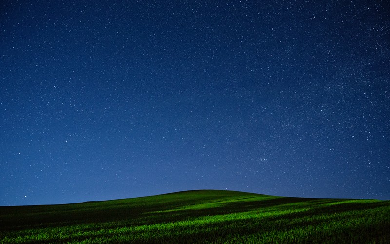 Одинокое дерево стоит на травяном поле под звездным небом (palouse region, штат вашингтон, зеленый луг, ночное время, звездное небо)