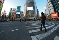 shibuya, pedestrian crossing, urban area, metropolis, pedestrian wallpaper