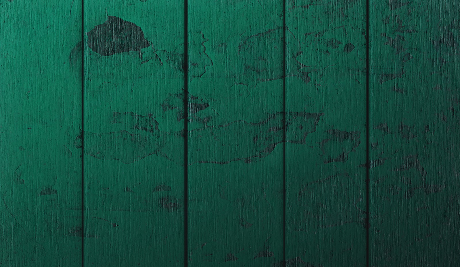 Un primer plano de una pared de madera verde con un oso de peluche (madera, tabla, textura, texturización, pintura)