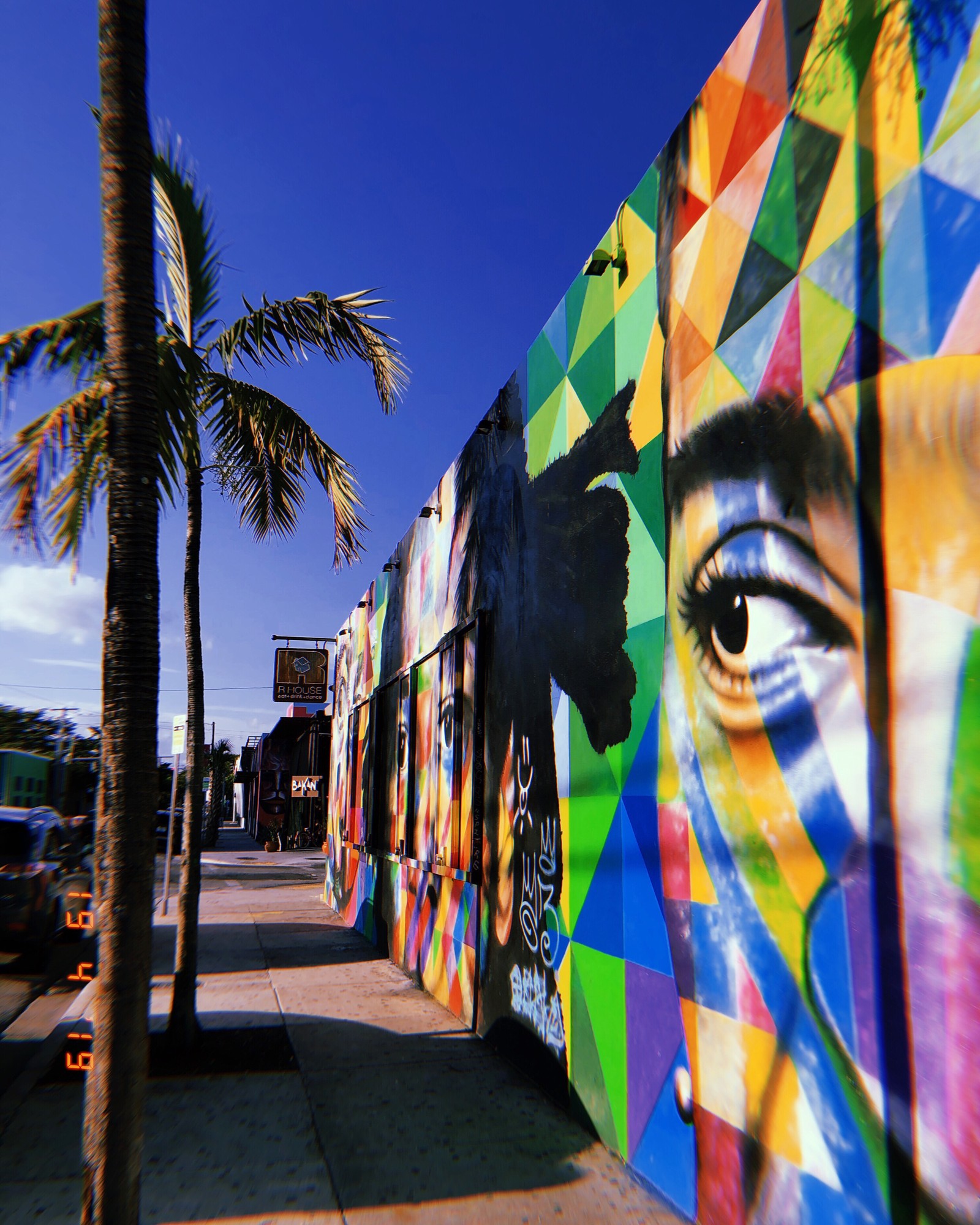 Mural de colores brillantes de la cara de una mujer en una pared (miami, árbol, turismo, ciencia, biología)