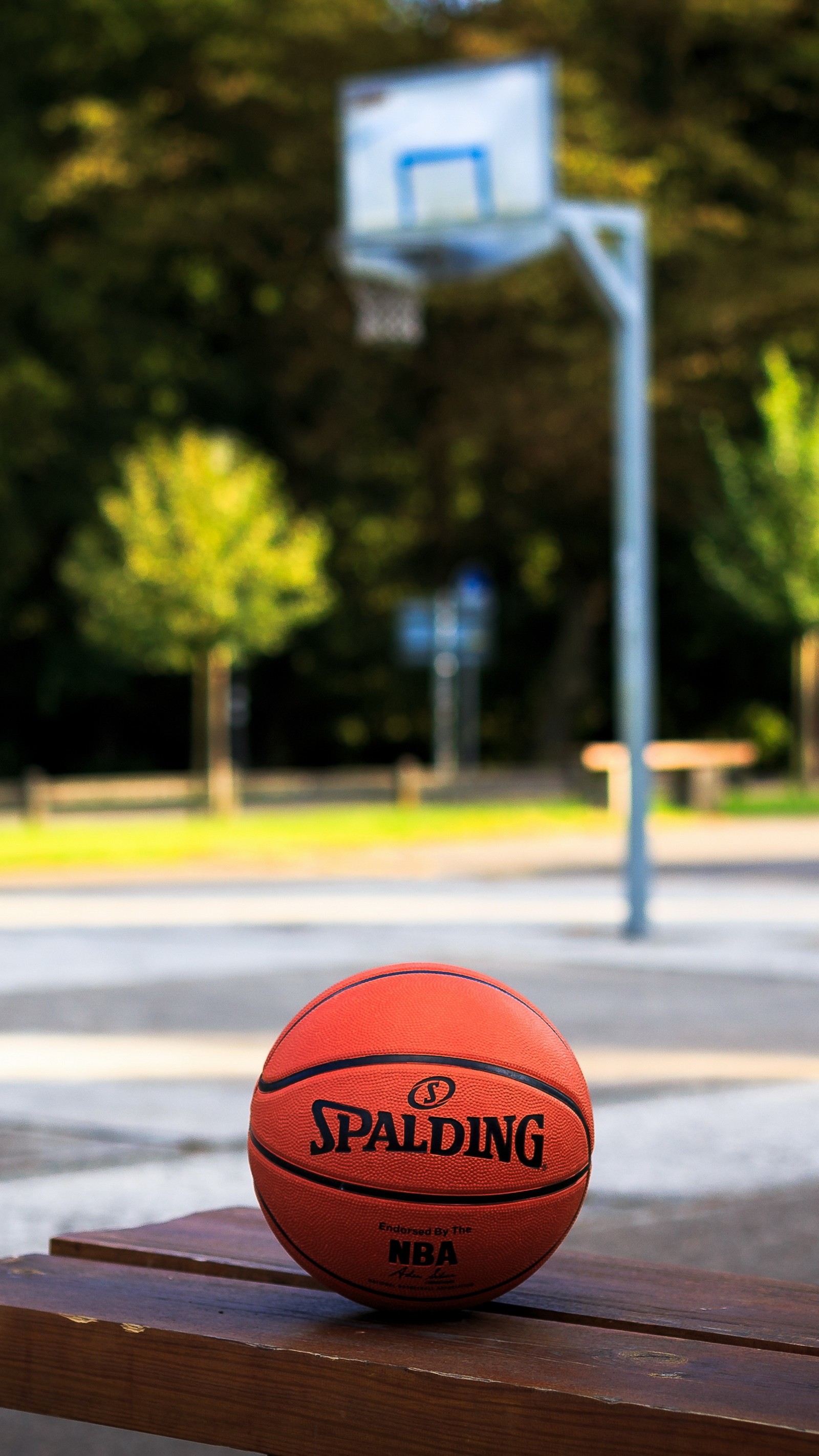 Arafed basketball ball sitting on a bench in a park (sports, basketball, light, sports equipment, asphalt)