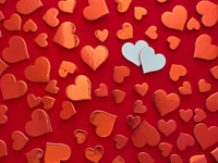 red hearts, heart shape, red background, pattern, valentines day