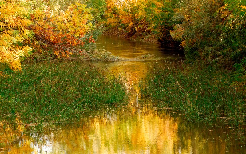 Вид с высоты на реку с маленьким ручьем (осень, природа, отражение, вода, банк)