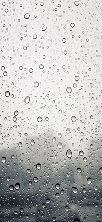 pluie, goutte, eau, humidité, bruine