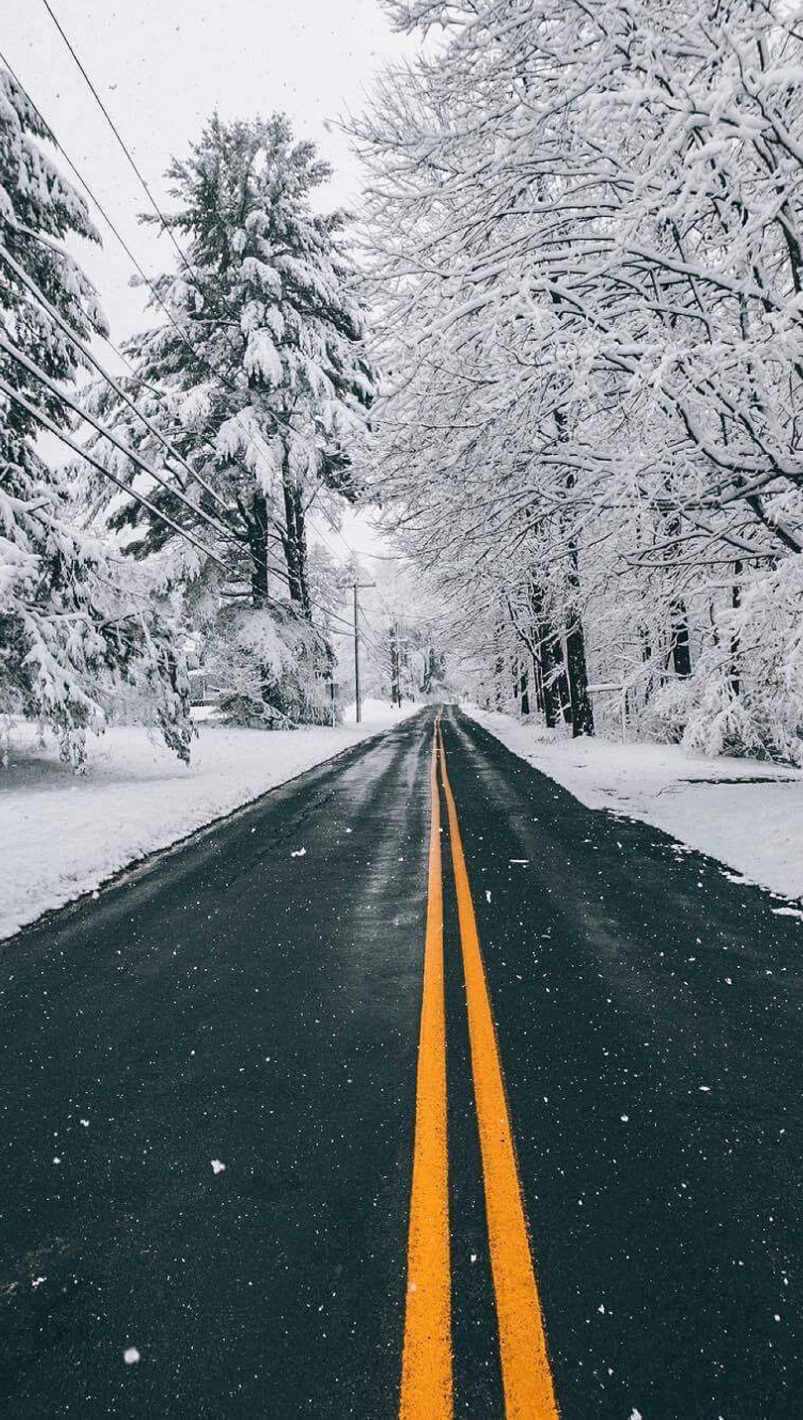 Snowy road with yellow line in middle of it and trees in the background (snow, street)