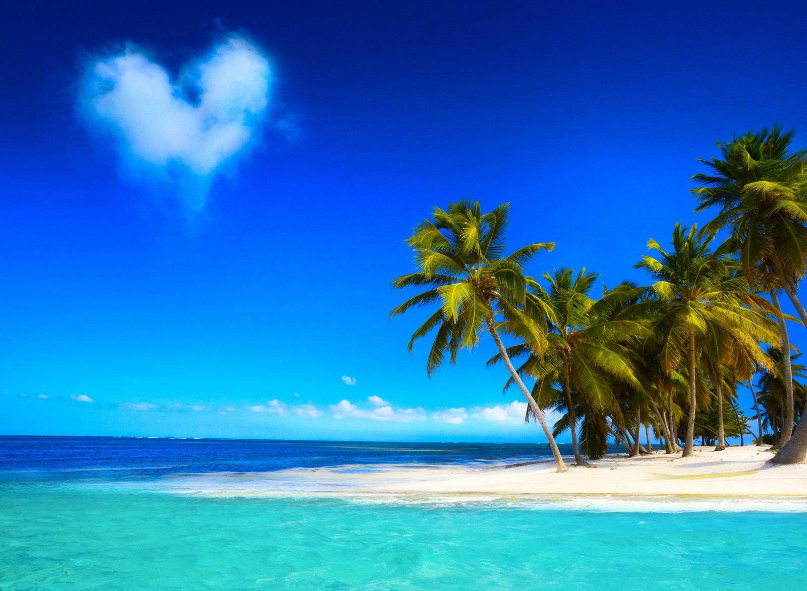 Une vue d'une plage avec des palmiers et un nuage en forme de cœur (plage, beaux tropiques, bleu, palmiers, tropical)