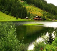 Retraite sereine au bord du lac au milieu de la verdure luxuriante