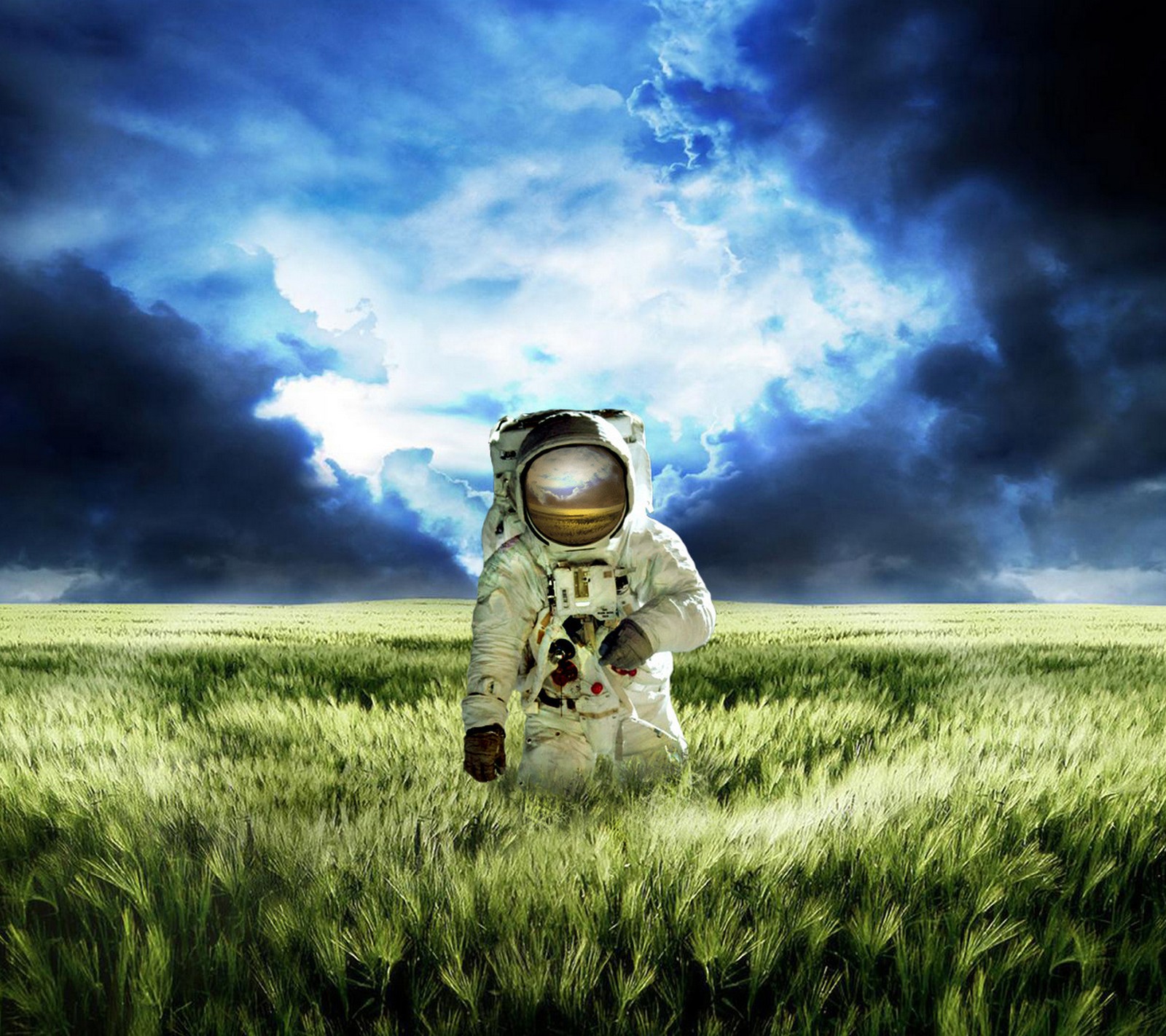 An astronaut in a field of wheat with a cloudy sky (alien, astronaut, cosmonaut, earth, grass)