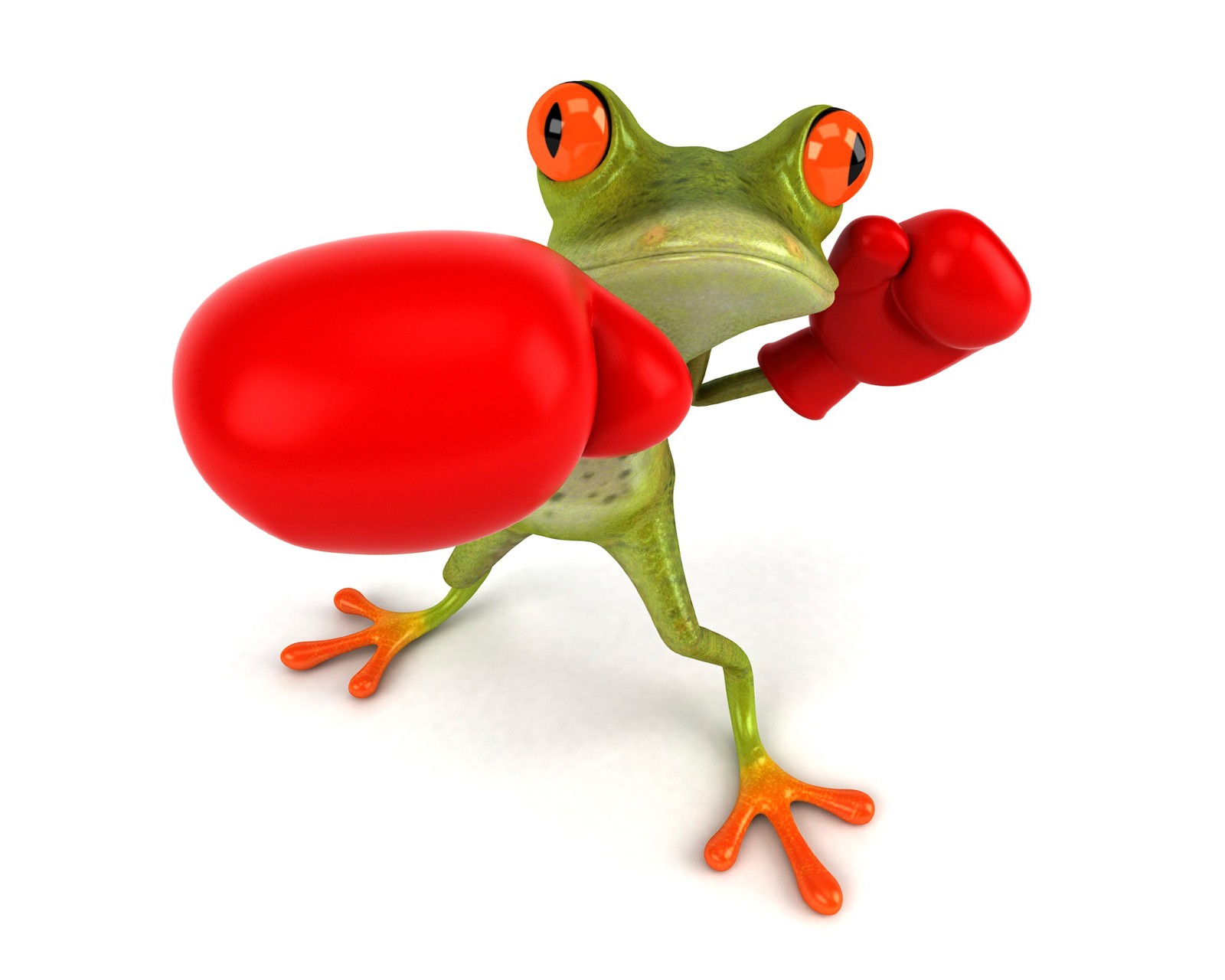 3d, boxing, frog, funny wallpaper