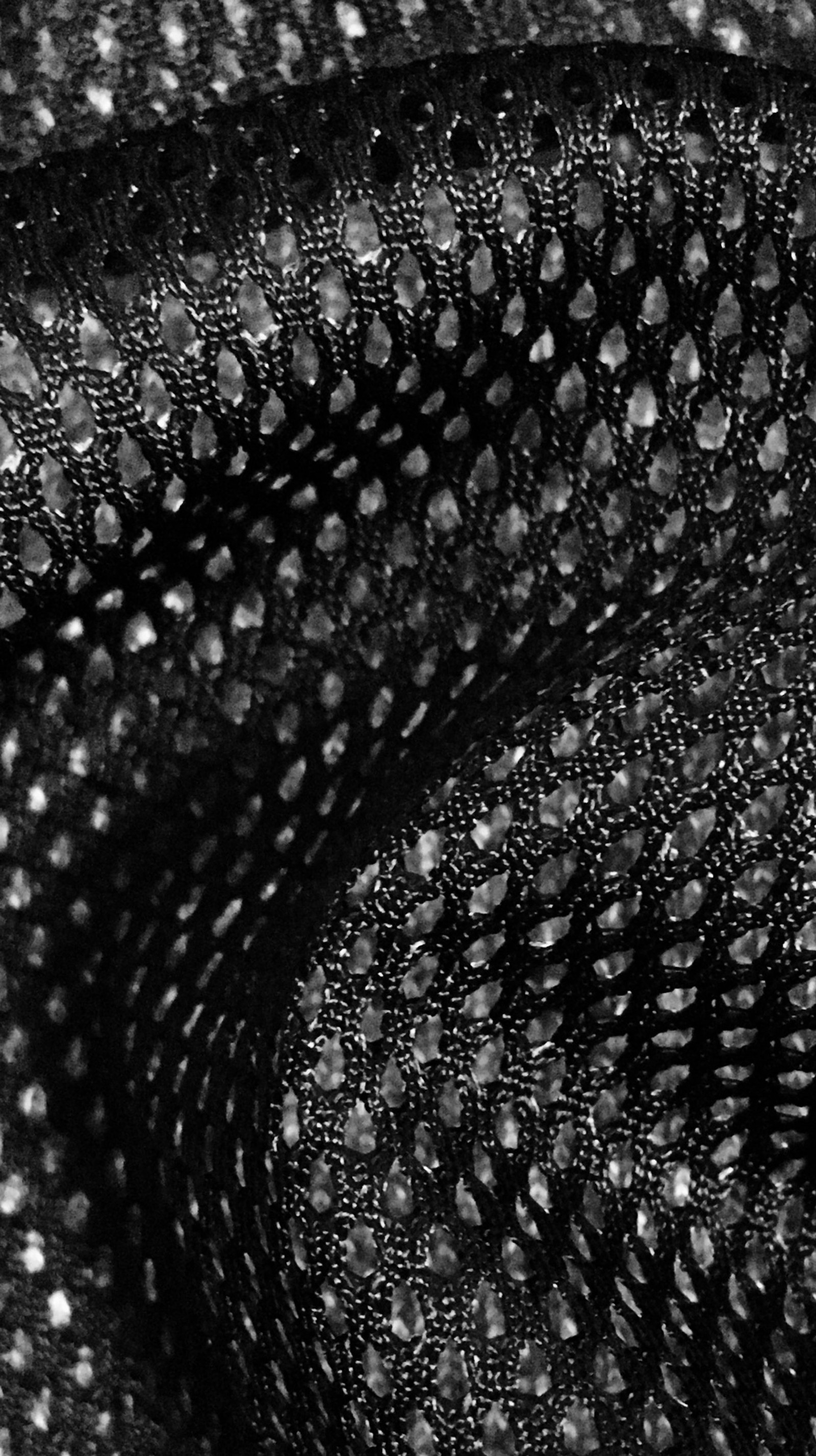 A close up of a black and white photo of a lizard (art, black, dark, natural, string bag)